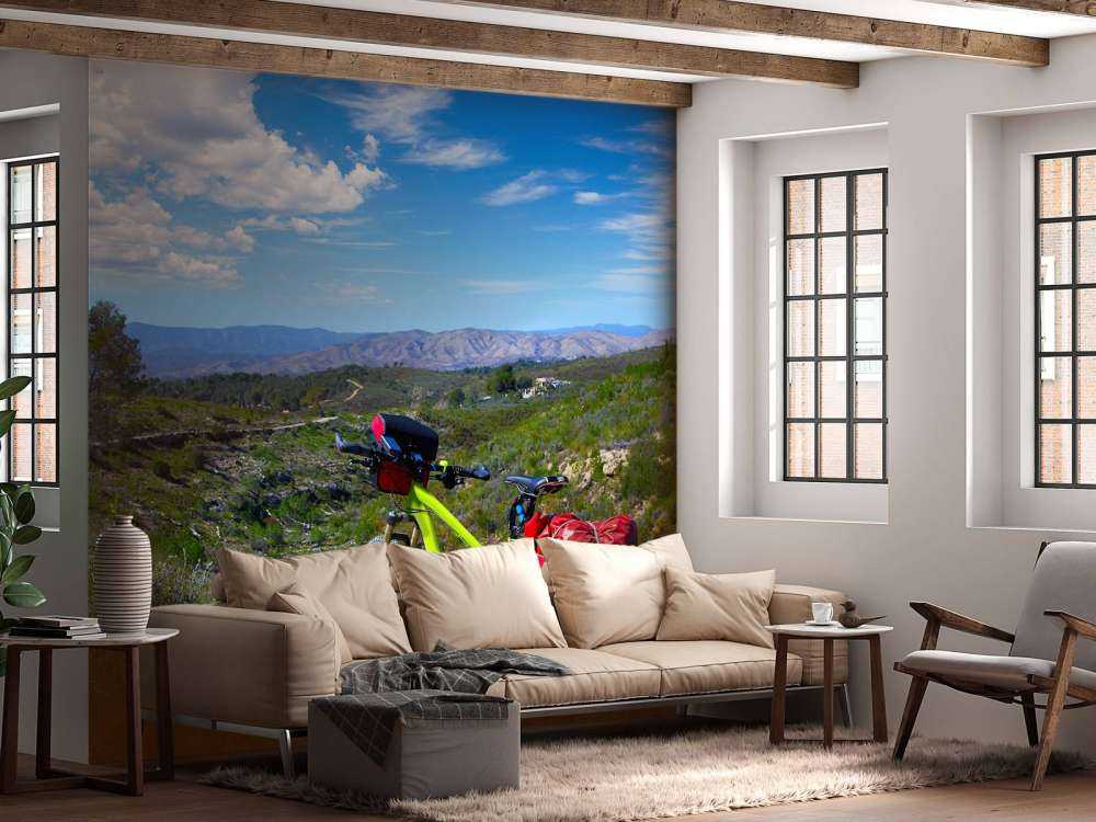 In bicicletta a Valencia