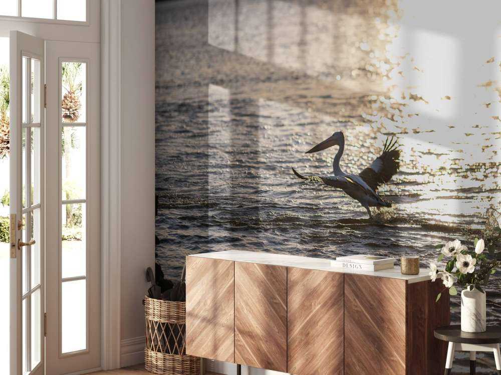 Pellicani al tramonto