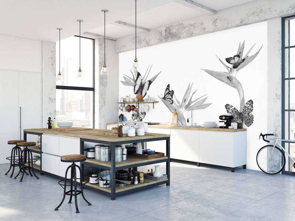 Farfalle su fiori di uccello del paradiso