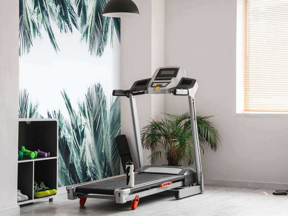 Foglie di palma su sfondo bianco