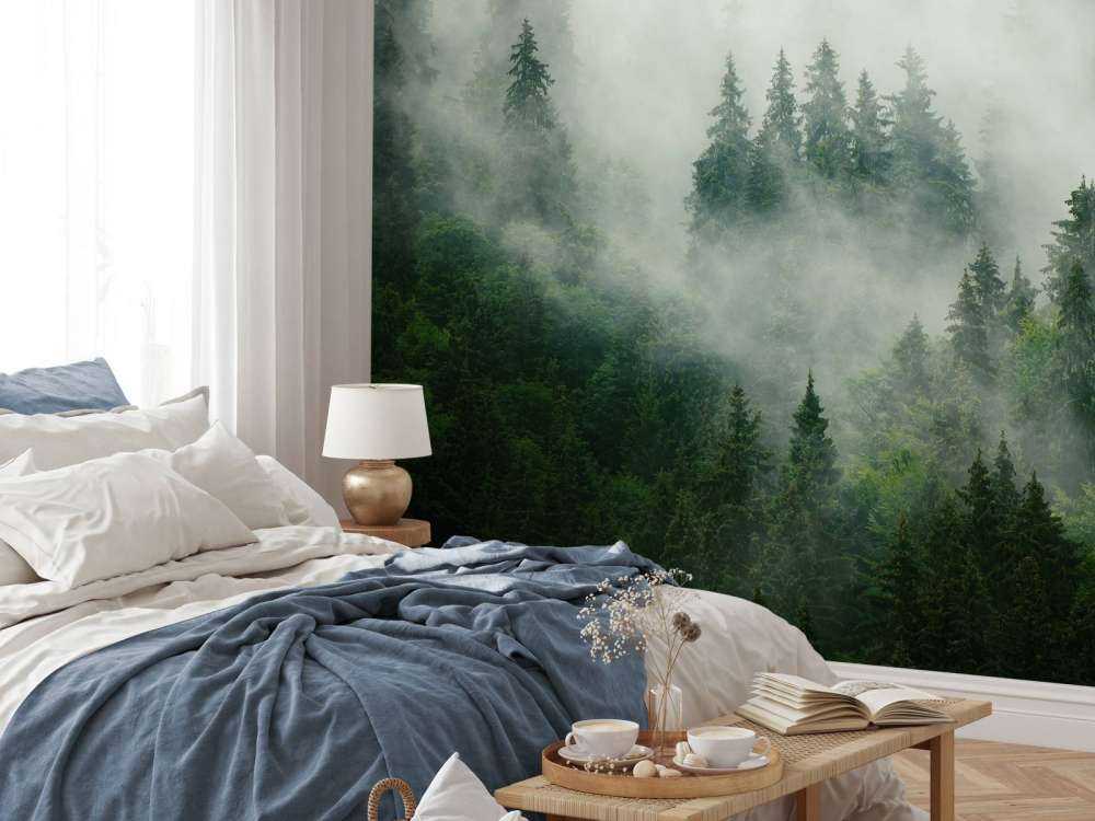 Foggy forest