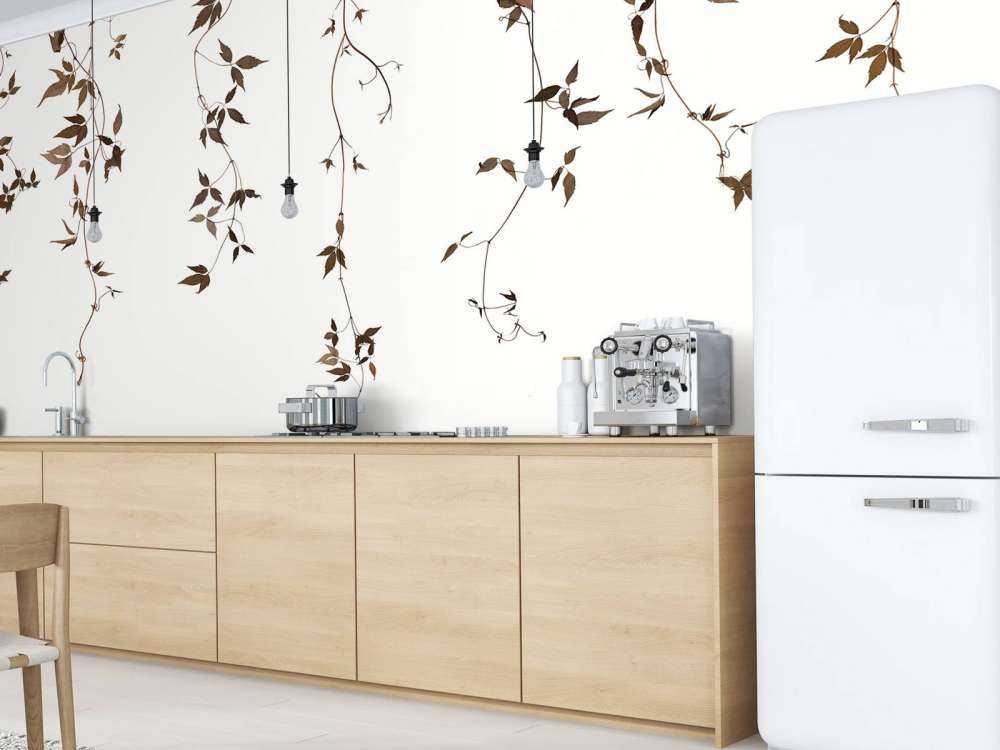 Clematide rampicante