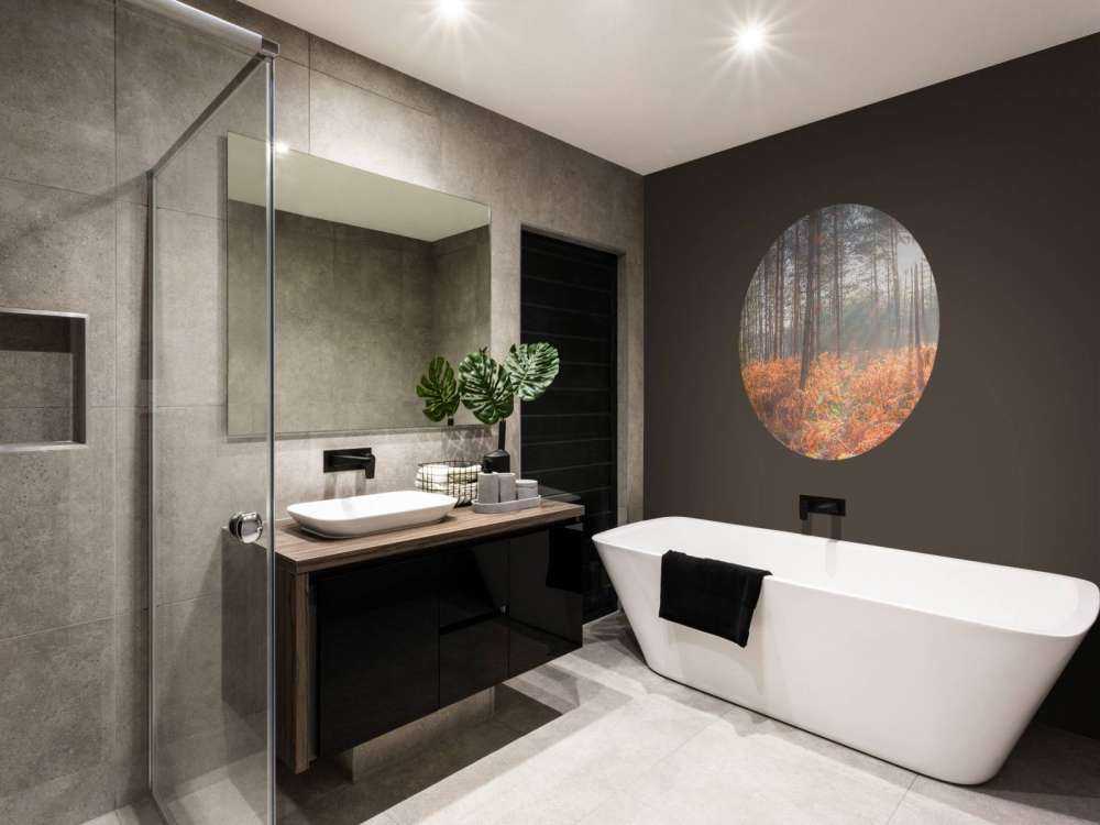 Raggi di sole attraverso la foresta