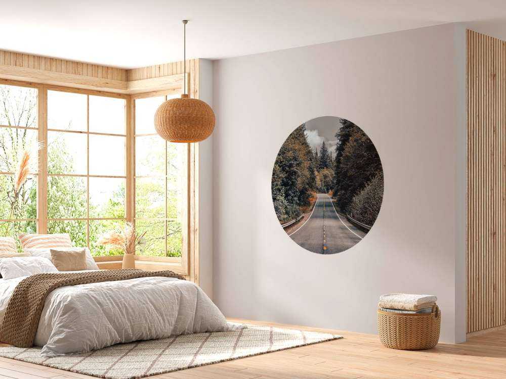 Foresta lungo una strada americana