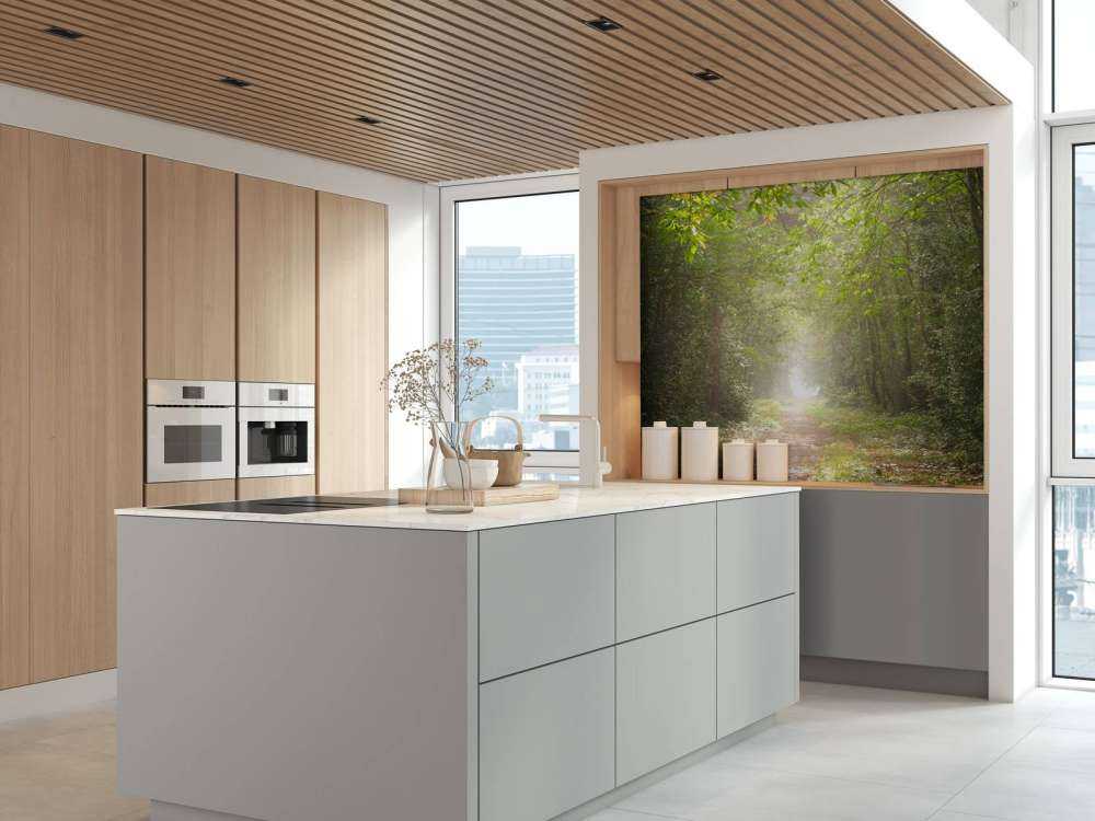 Sentiero attraverso la foresta nebbiosa