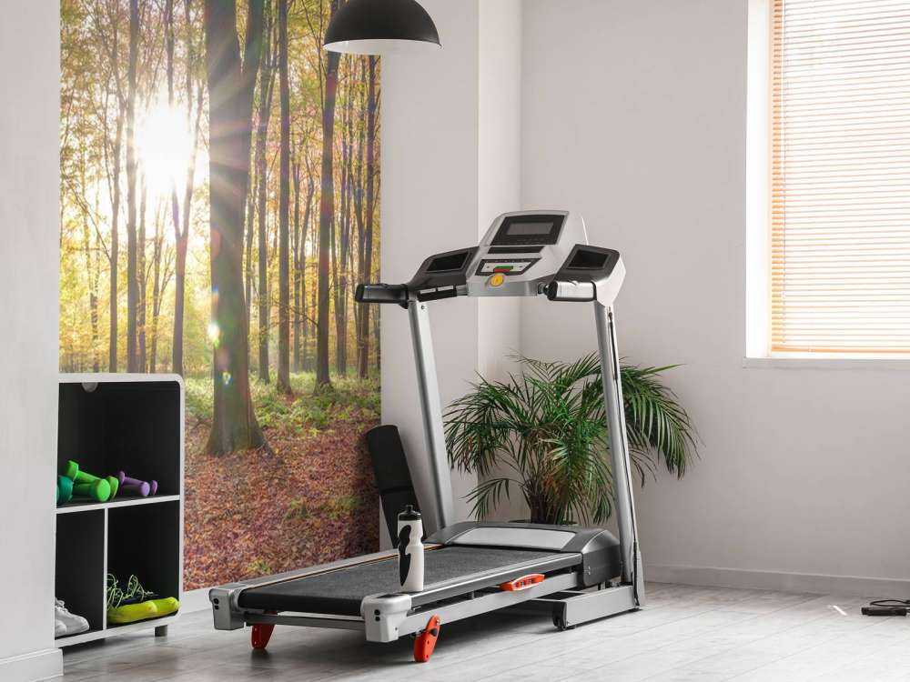 La luce del sole attraverso la foresta autunnale