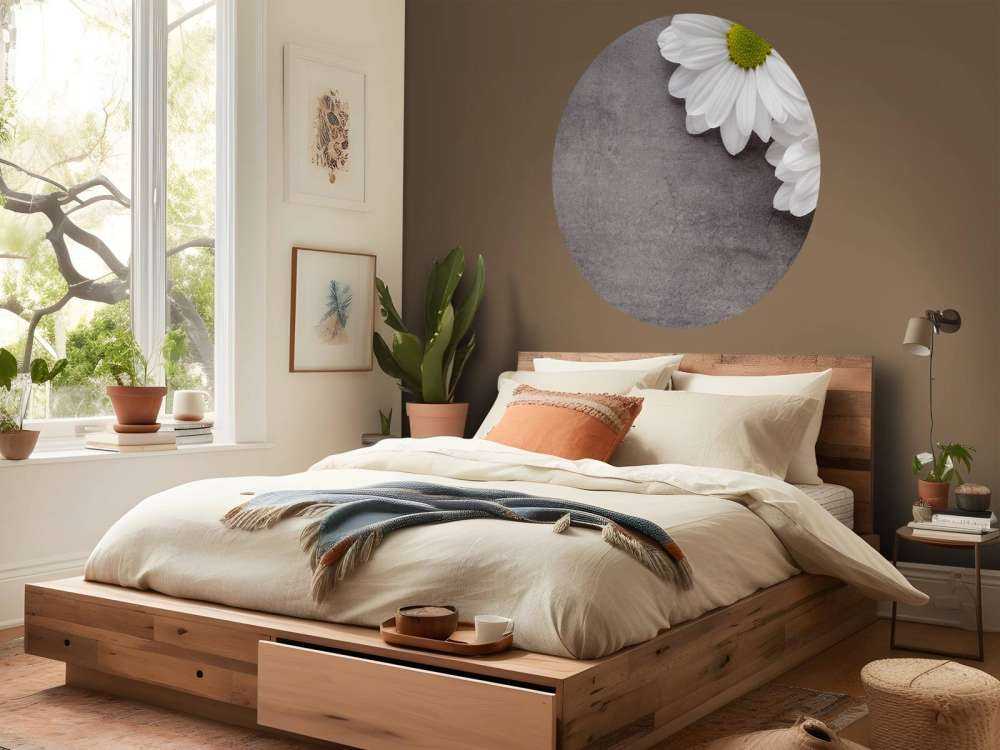 Margherite e calcestruzzo