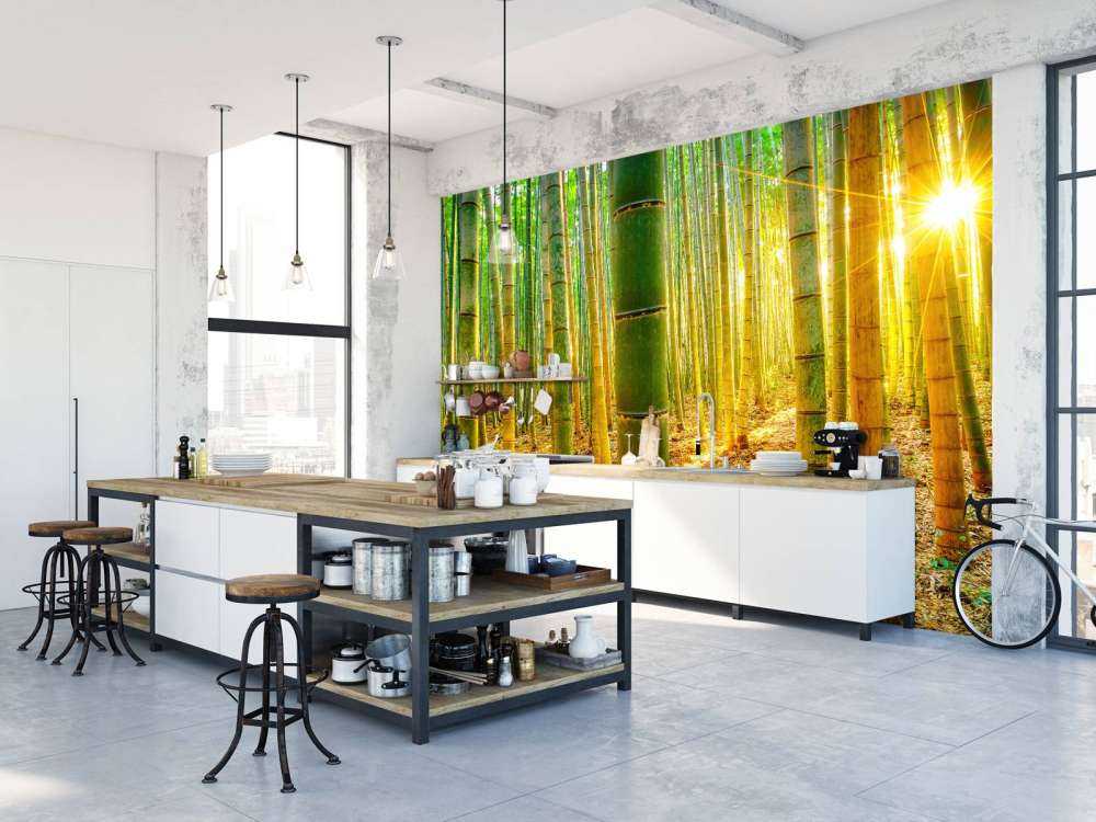 Foresta di bambù all'alba