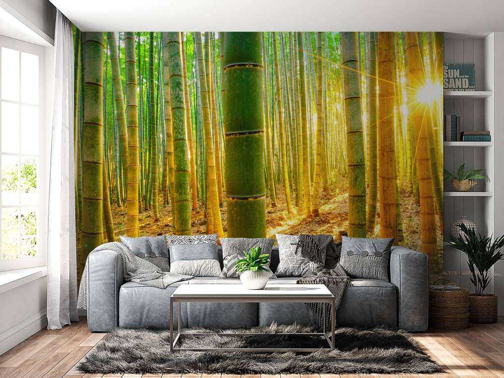 Foresta di bambù all'alba