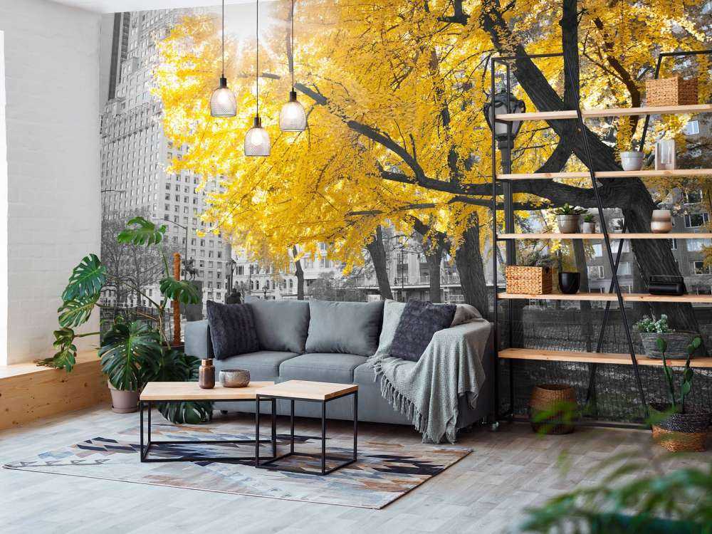 Un sentiero attraverso Central Park