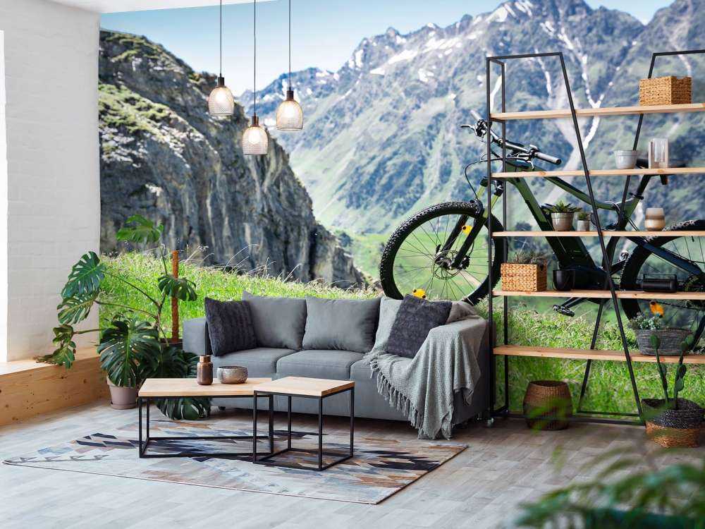 Bicicletta elettrica in Austria