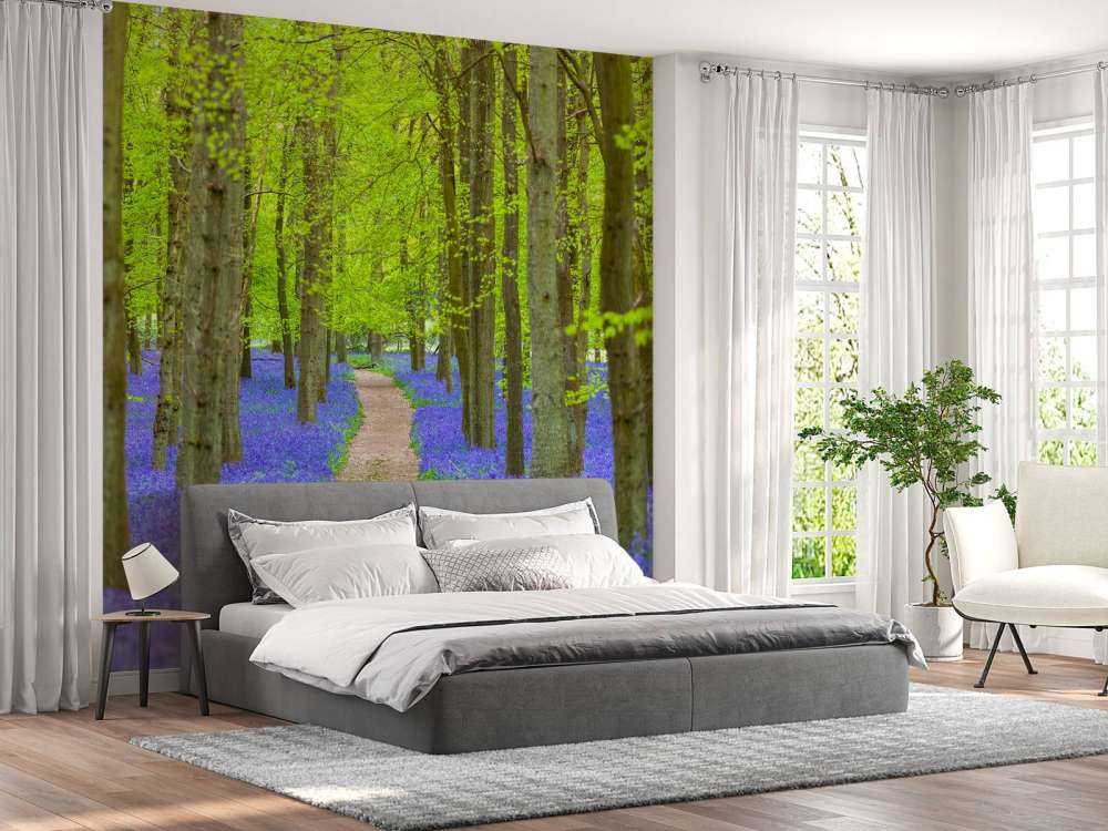 Sentiero delle campanule