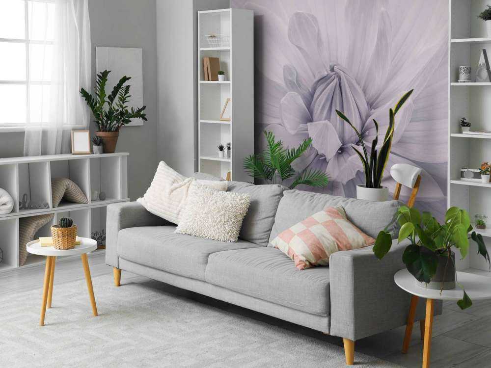 Fiore di dalia bianco