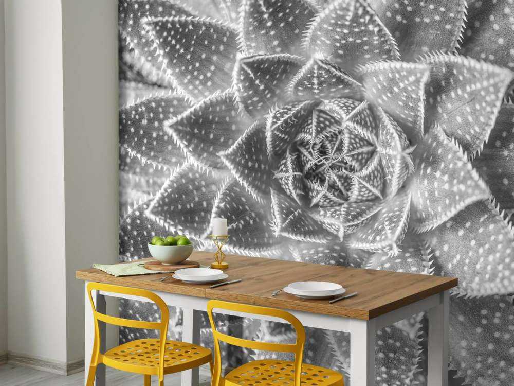 Primo piano di una succulenta