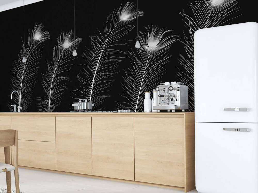 Piume di pavone bianche