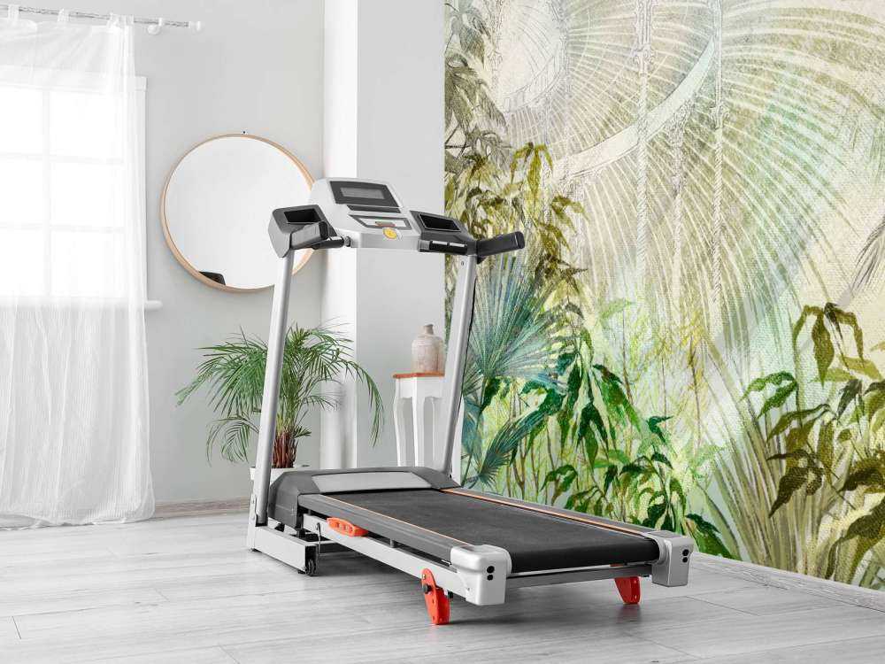 Serra con piante tropicali