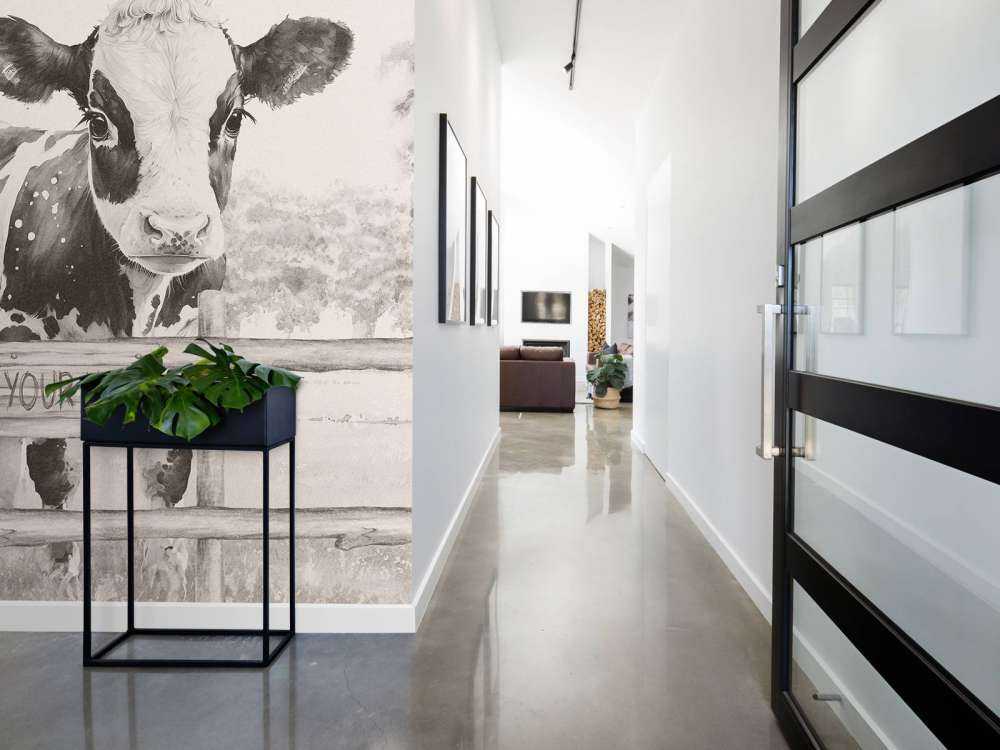 Baby mucca in un prato beige