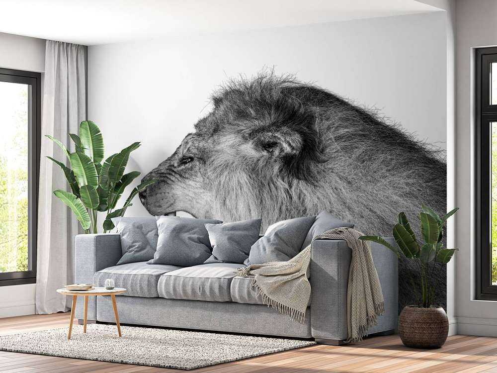 Leone ruggente bianco