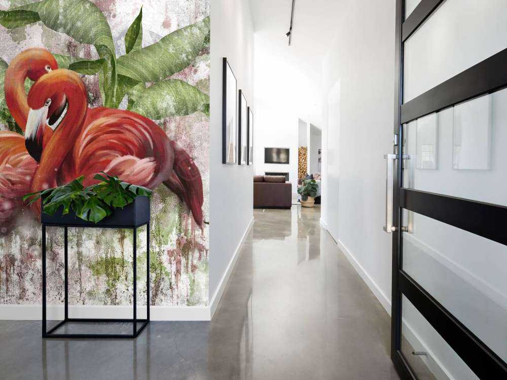 Duetto d'Amore dei Fenicotteri