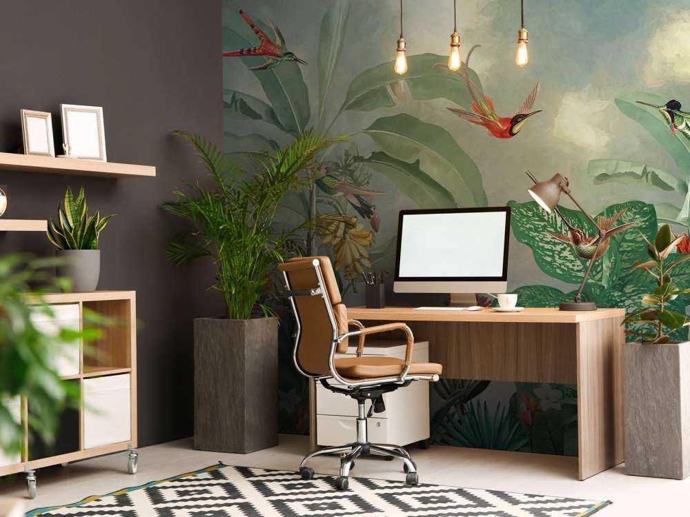 Paradiso dei Colibrì