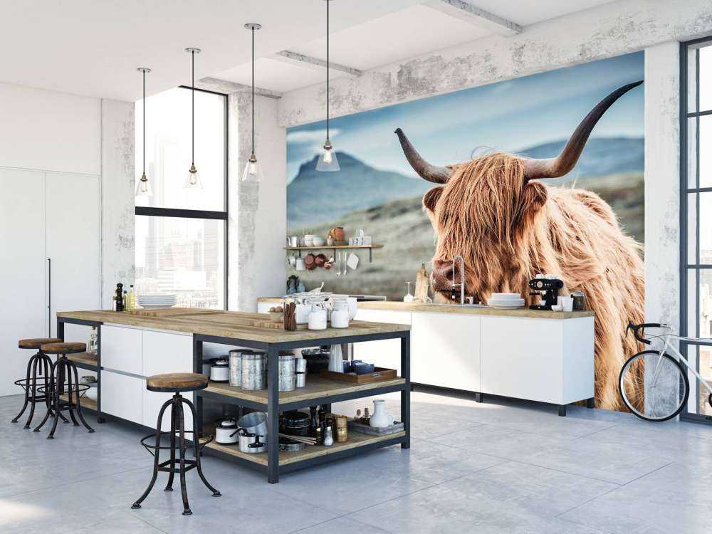 Highlander scozzese sulle colline