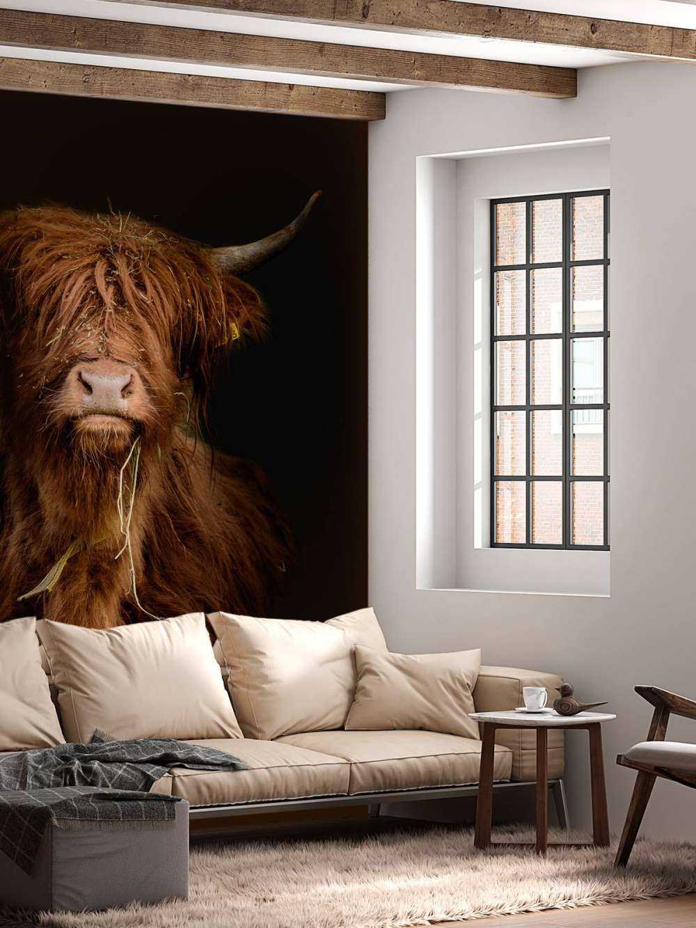 Ritratto scozzese Highlander