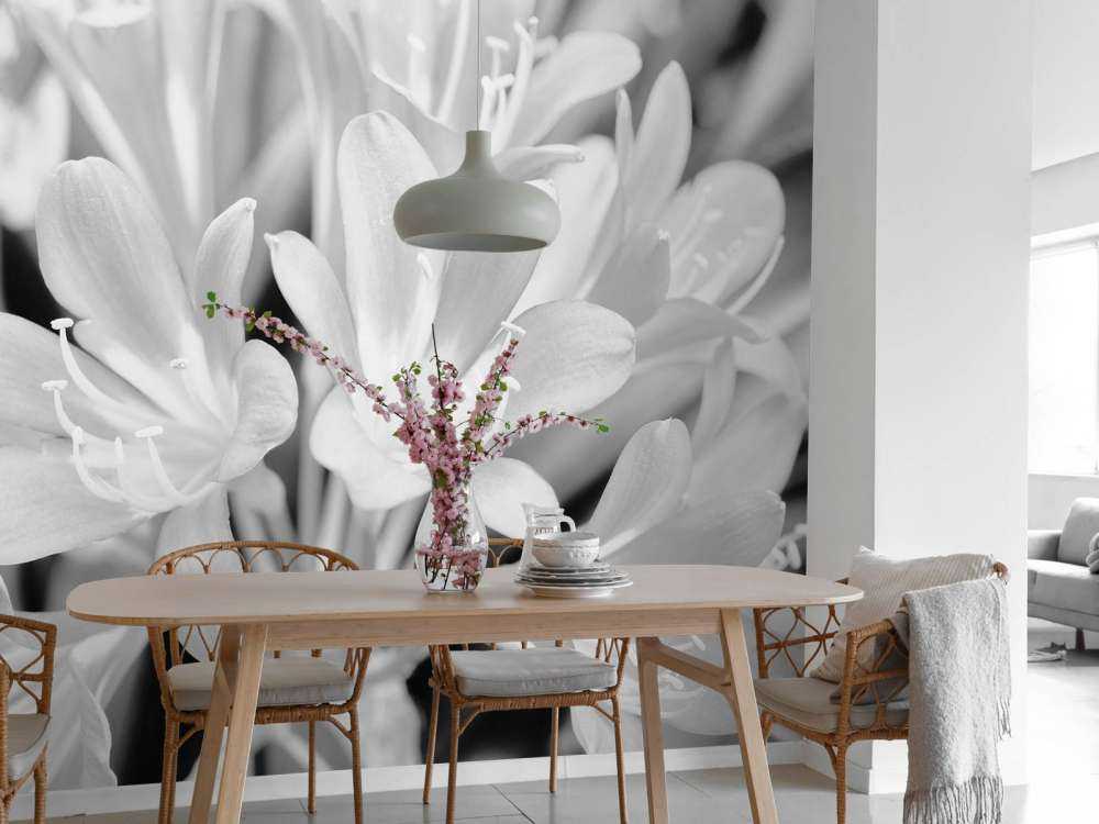 Fiori in fiore, bianco e nero