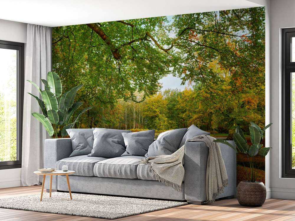 Ponte in una grande foresta