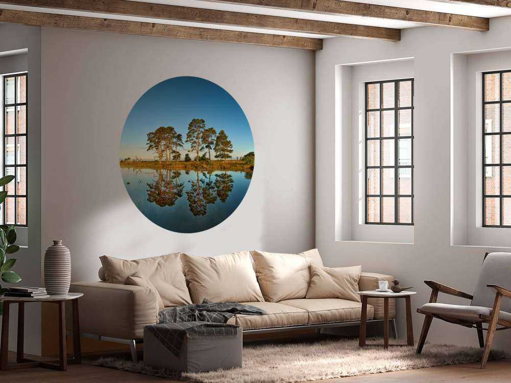 Riflessione nel lago della foresta