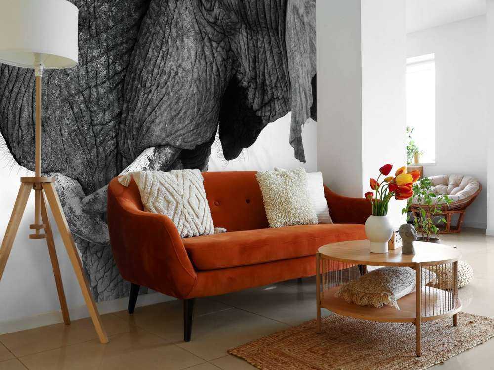 Foto carta da parati elefanti