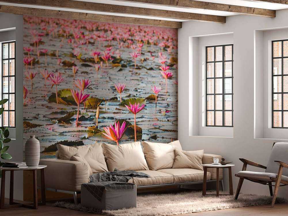 Mare di fiori di loto