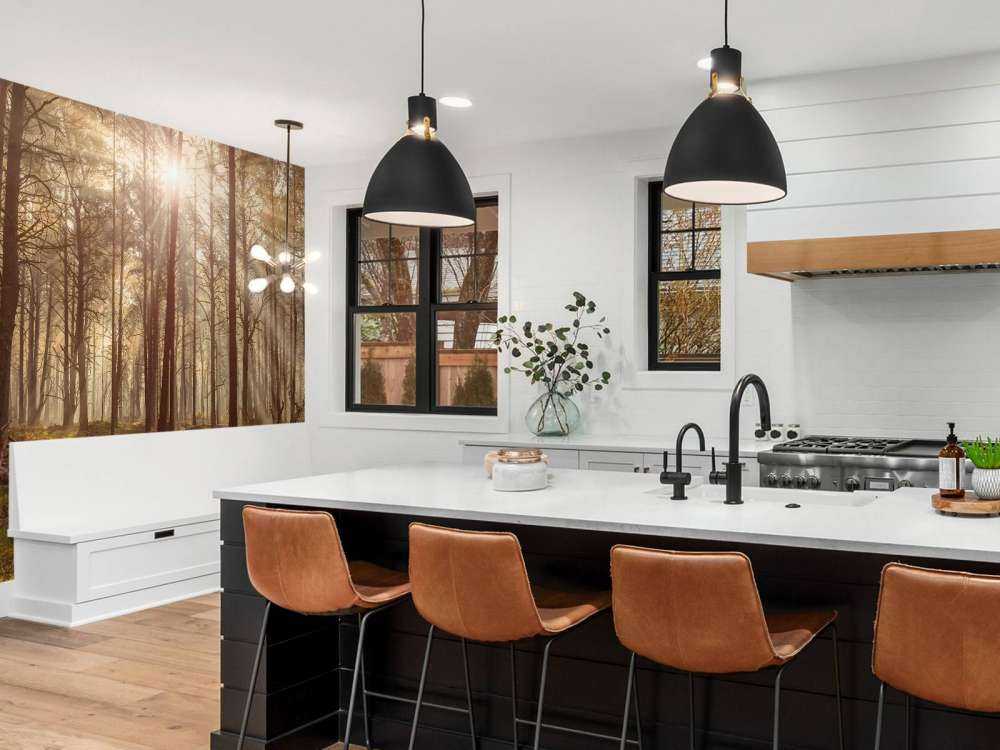 Foresta con alberi ad alto fusto