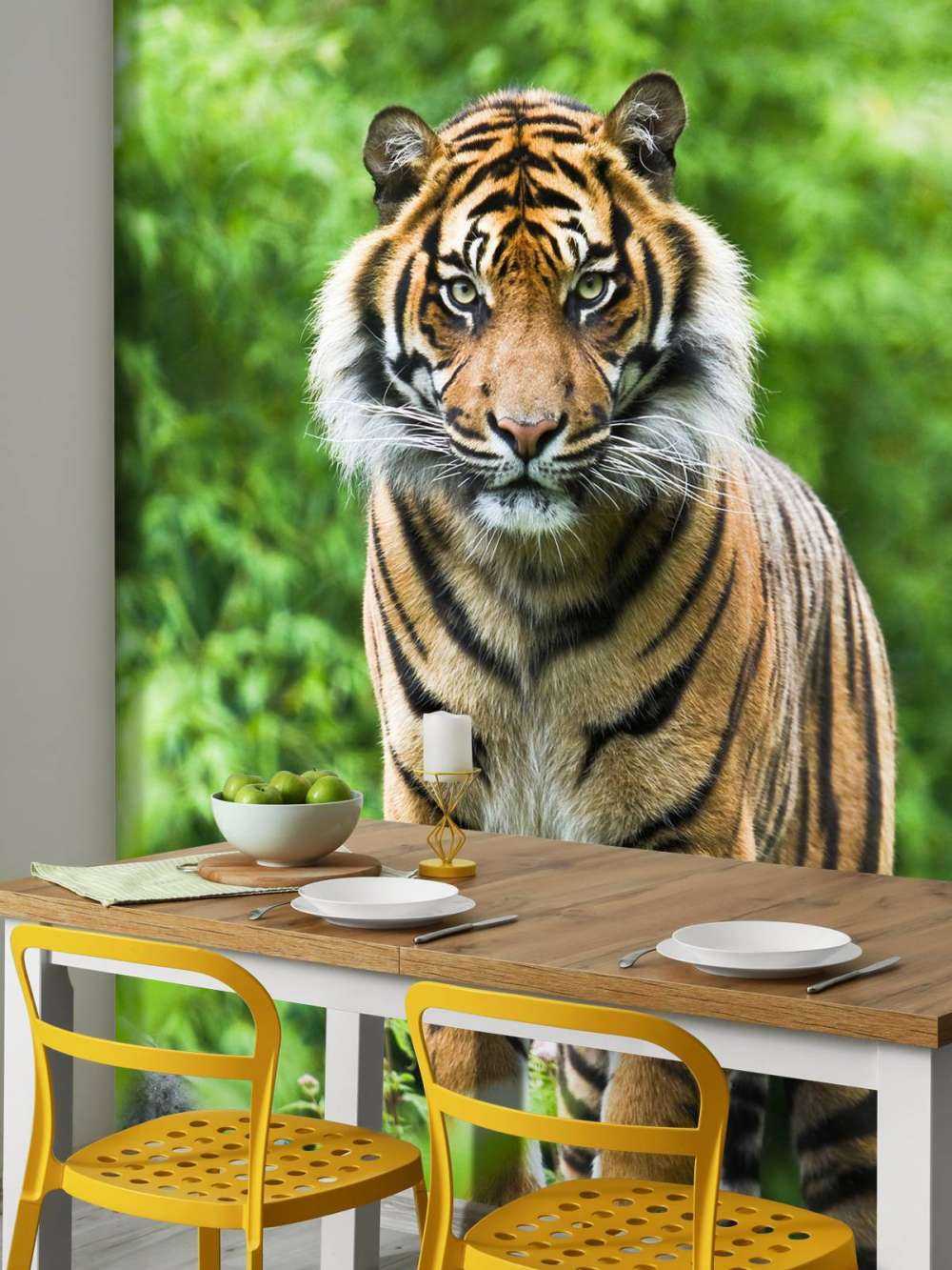 Tigre in piedi su una pietra