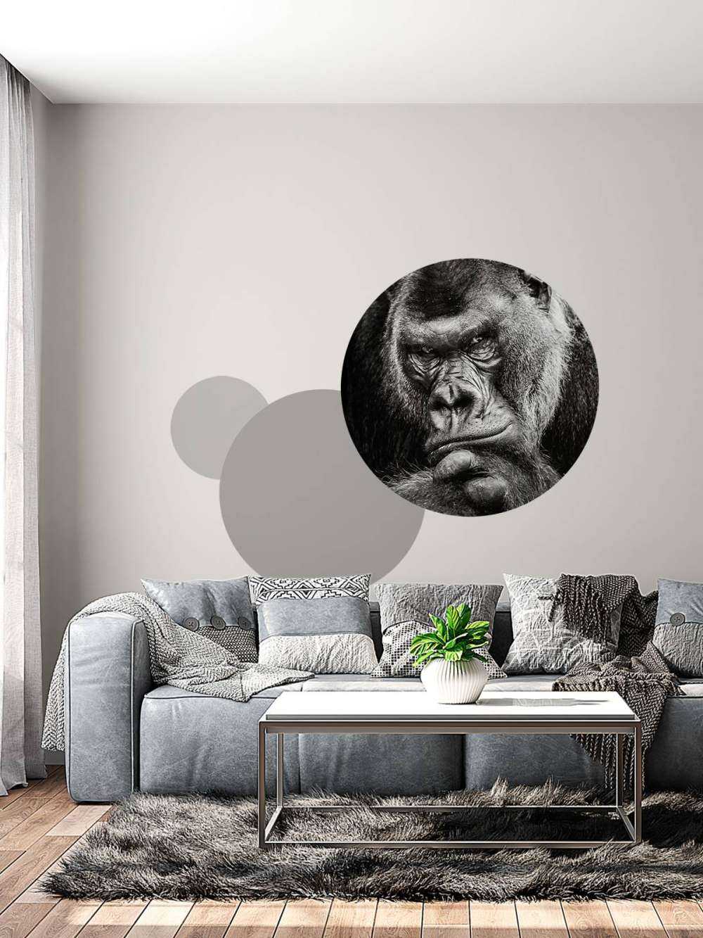 Immagine ravvicinata di un gorilla