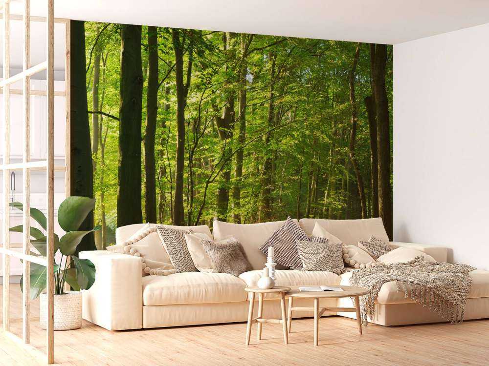 Strada soleggiata attraverso una foresta