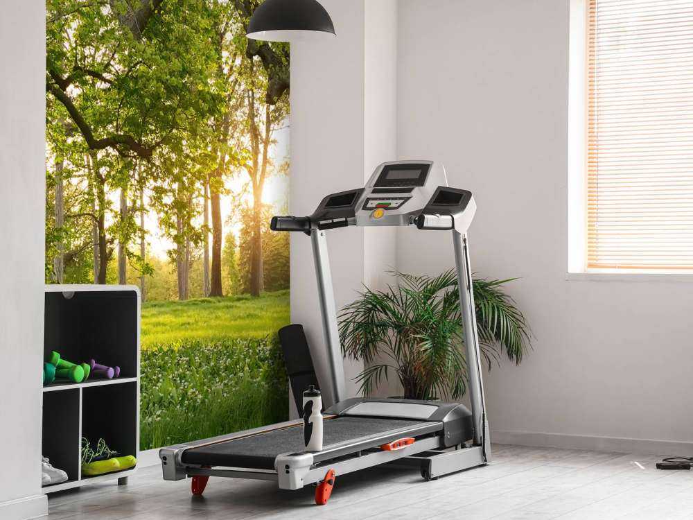 Spazio aperto nella foresta