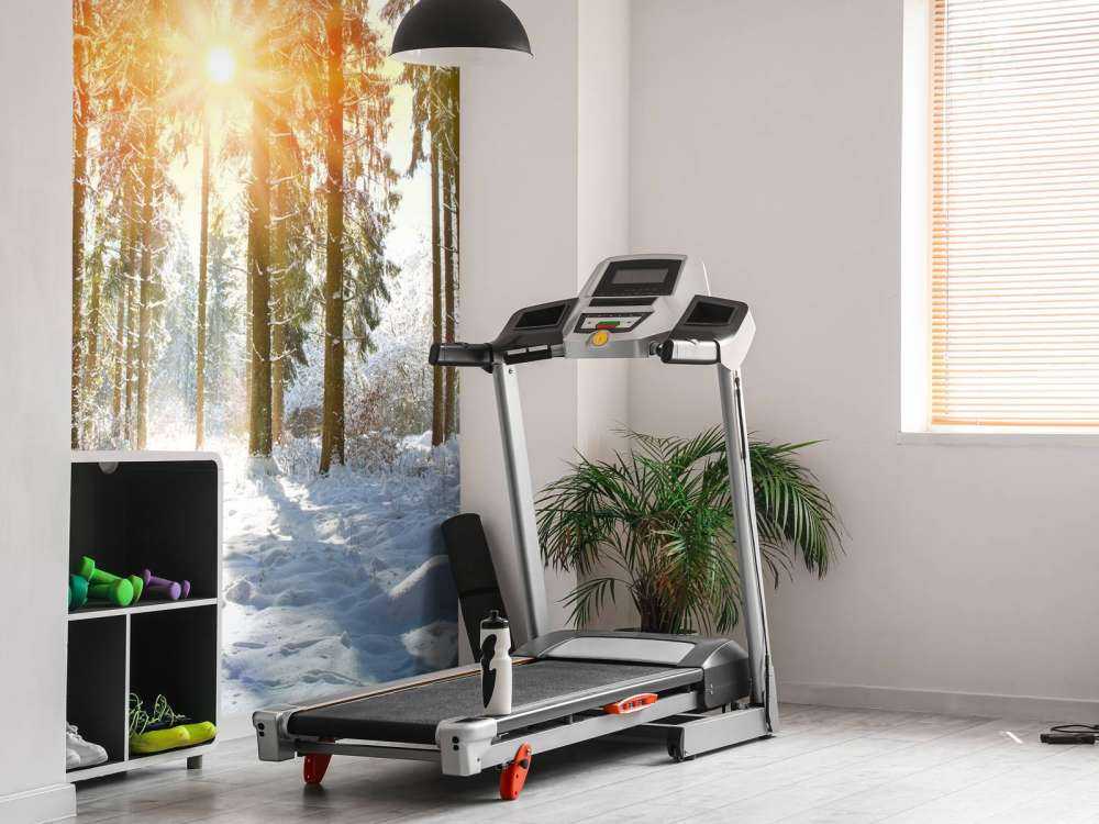 Luce del sole nella foresta d'inverno