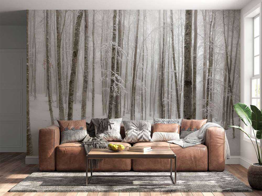 Foresta di faggio con neve