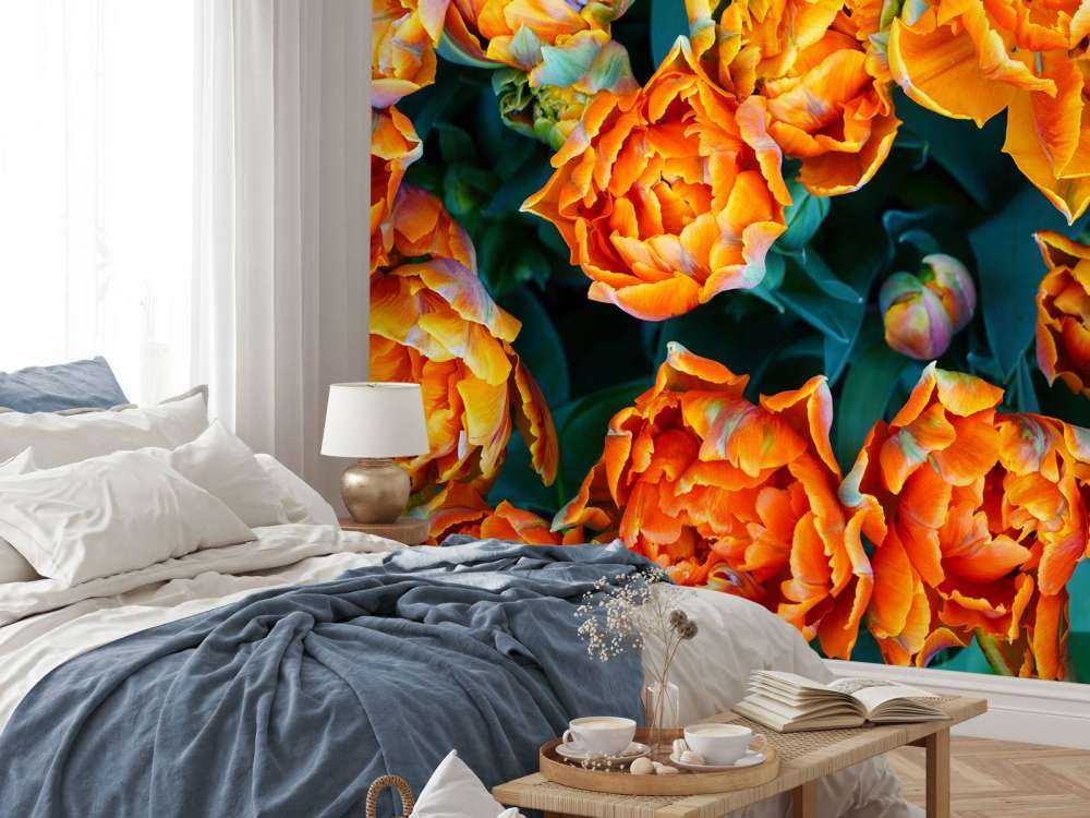 Tulipani arancioni ravvicinati