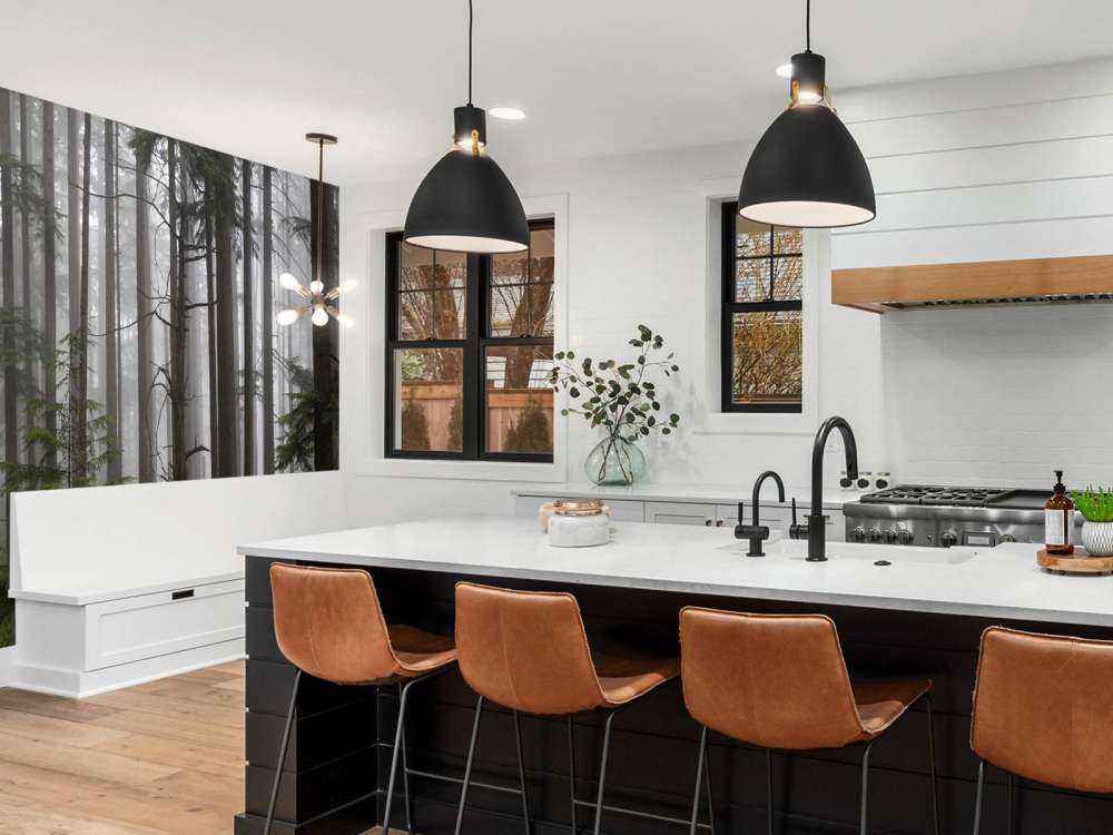 Foresta durante un giorno di nebbia