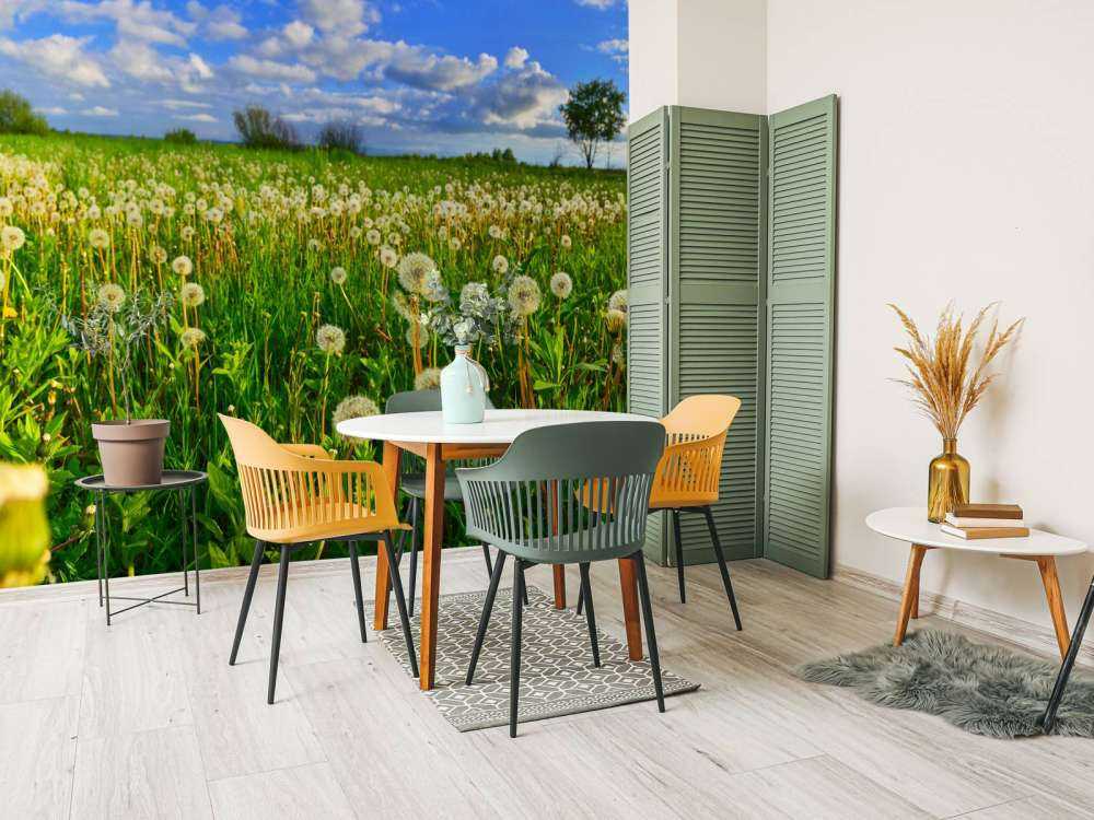 Campo di denti di leone