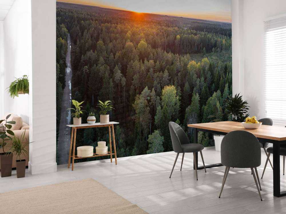 Foto aerea di alberi autunnali