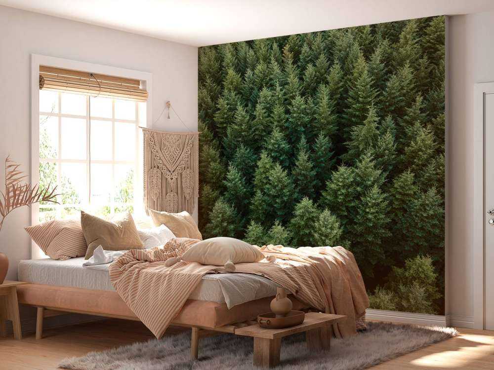 Abeti di Douglas dall'alto