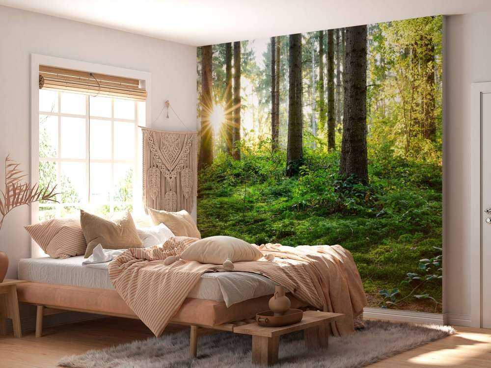 Panorama della foresta in primavera