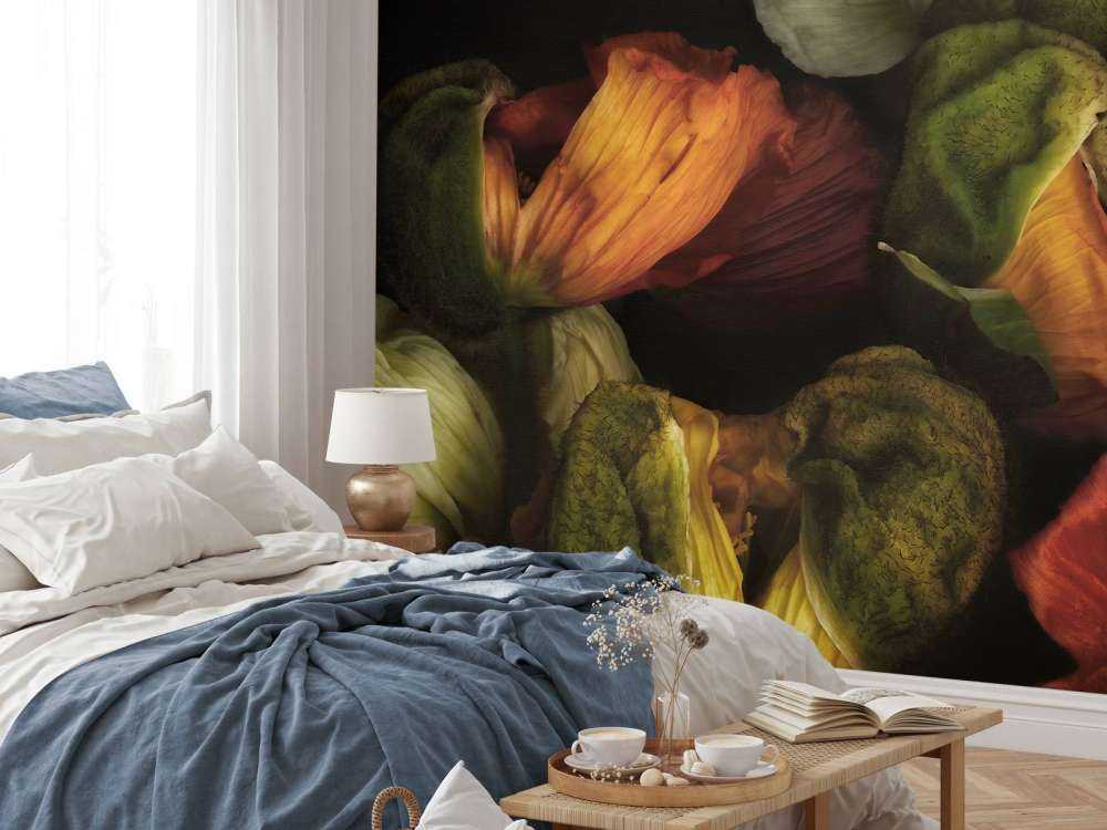 Papaveri compositi in erba