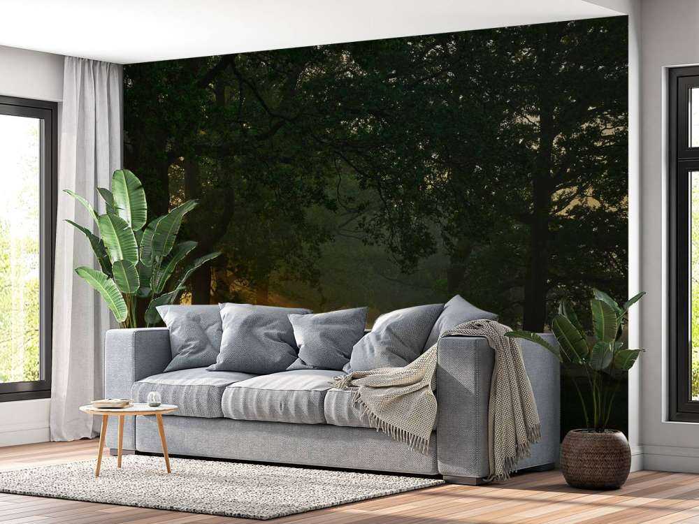 Sentiero senza fine con alberi