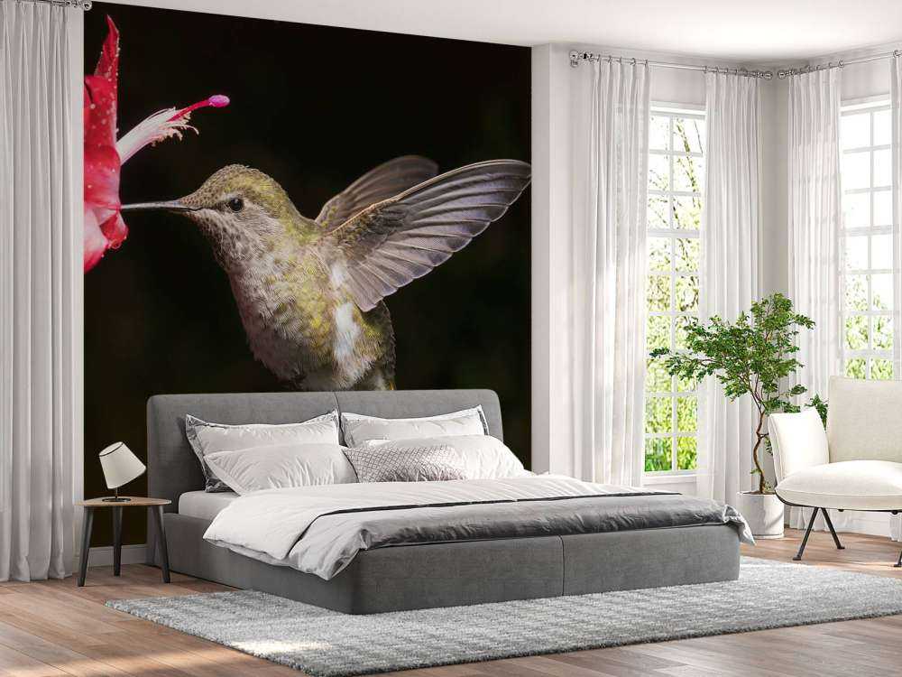 Colibrì con fiore rosso