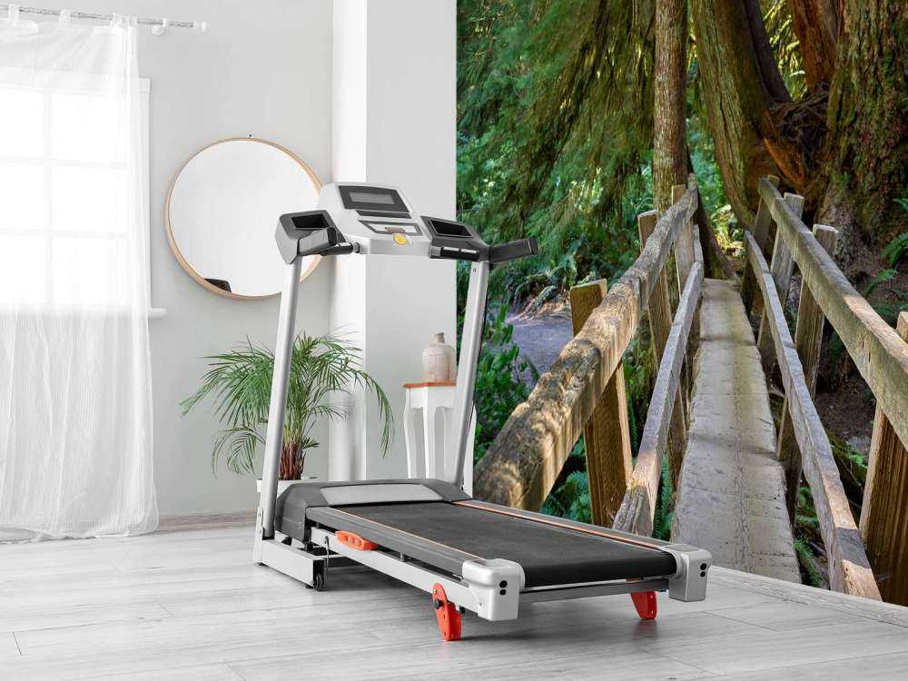 Ponte di legno attraverso la foresta 