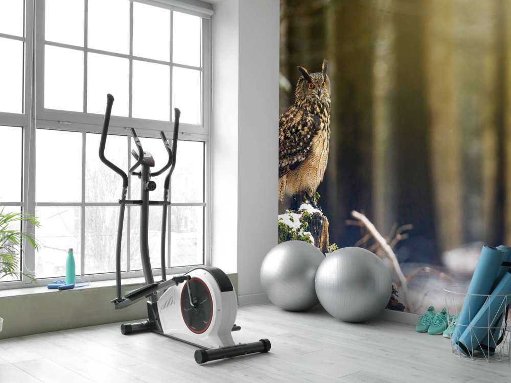 Gufo in foresta innevata