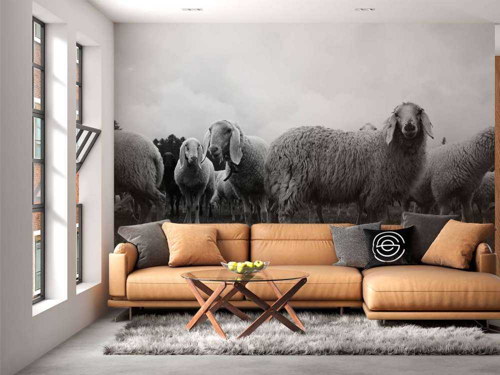 Gregge di pecore in bianco e nero